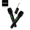 Micro Pasion Echo 2025