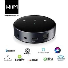 Đầu phát streaming nhạc số WiiM Mini