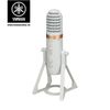 Microphone Yamaha AG01