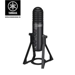 Microphone Yamaha AG01
