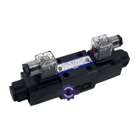 DSG-01-2D2-A110-N1-51T