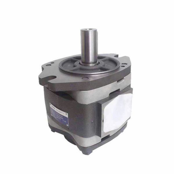 VOITH IPVP-6-125-101