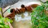 Hot mineral mud bath for 5 pax