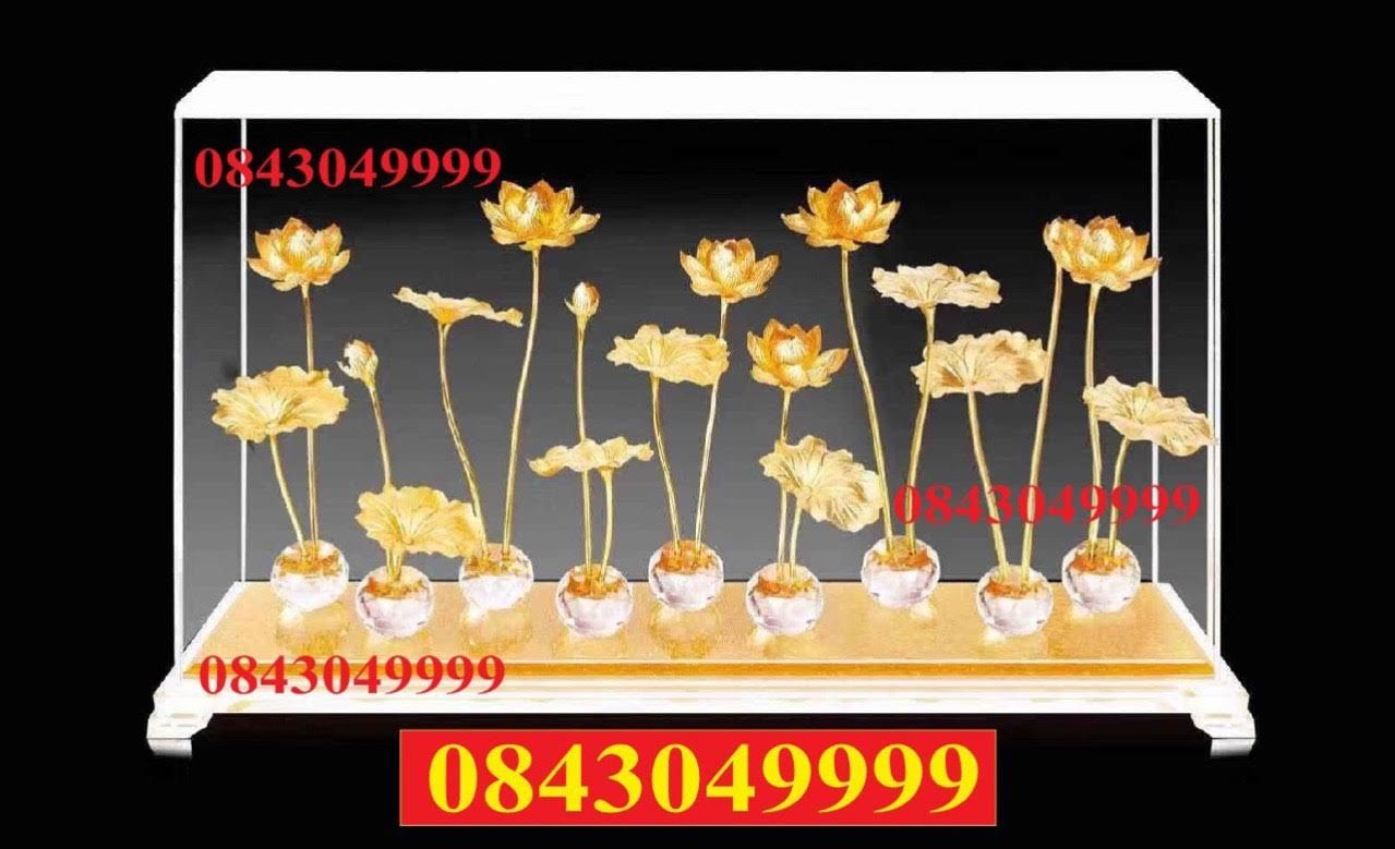  Đầm Sen Đĩa Sứ 15  x 23 x 36 