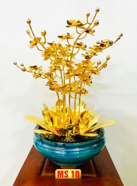  Chậu lan 7 cành mạ vàng M10 
