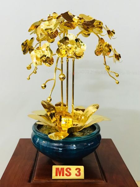  Chậu lan mạ vàng M3 