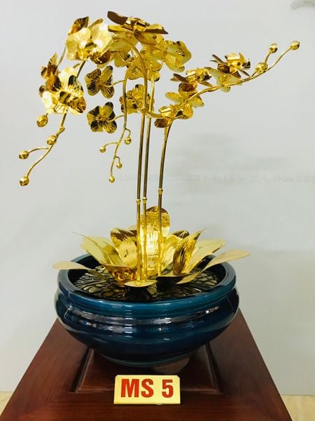  Chậu lan 3 cành mạ vàng M5 
