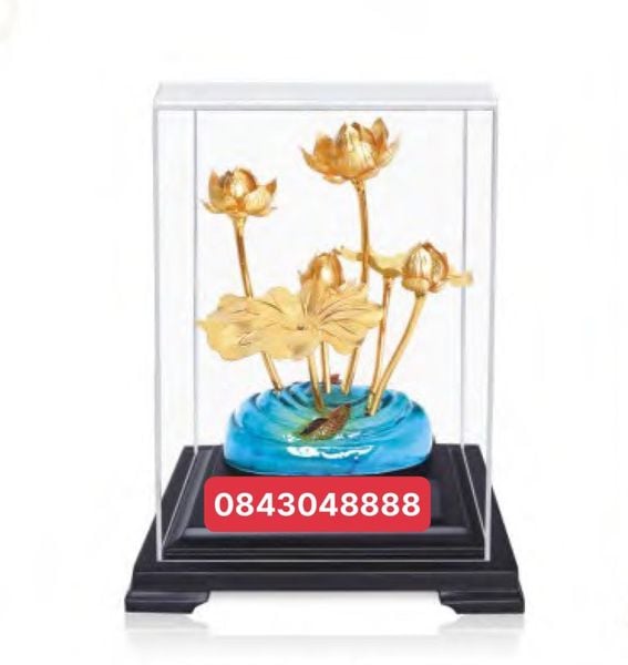  Hoa Sen Mạ Vàng - M2 