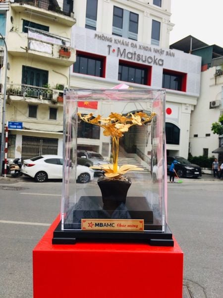  Chậu Lan Mạ Vàng 