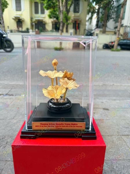  Hoa Sen Mạ Vàng Cao Cấp 