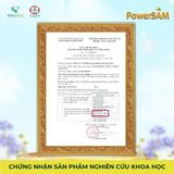 POWERSAM – Sâm sinh lực Men