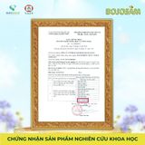 BOJOSAM – Viên uống hỗ trợ xương khớp từ Sa Sâm Việt