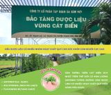 BEAUTYSAM – Sâm đẹp da, tăng cường nội tiết tố