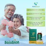 BOJOSAM – Viên uống hỗ trợ xương khớp từ Sa Sâm Việt