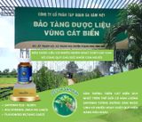 NEUROSAM – Viên uống hỗ trợ hoạt huyết, dưỡng não