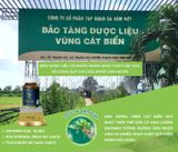 POWERSAM – Sâm sinh lực Men