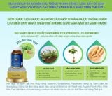 NEUROSAM – Viên uống hỗ trợ hoạt huyết, dưỡng não