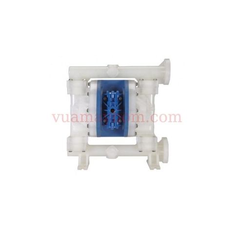 Bơm màng FTI FT20V‐PP‐RRVR‐F1