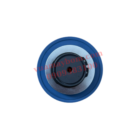 Màng bơm định lượng Seko MS1A094