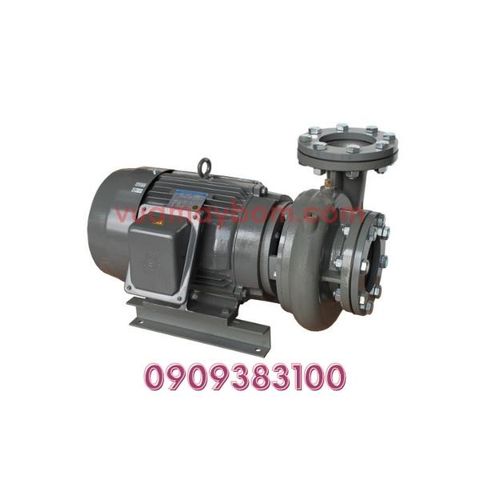Máy Bơm Ly Tâm Evergush CP