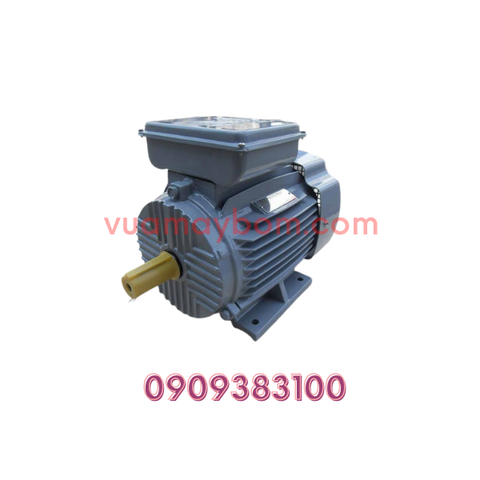 Motor điện 1 pha 1.5 kw