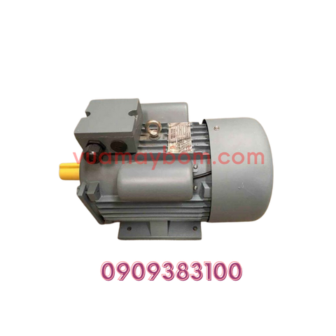 Motor điện 1 pha 2.2 kw