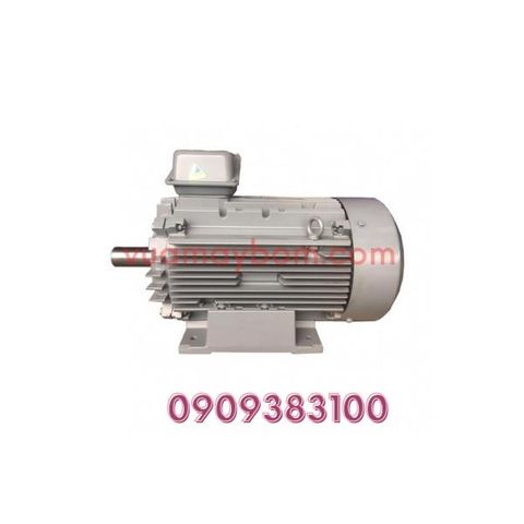 Motor điện Hitachi