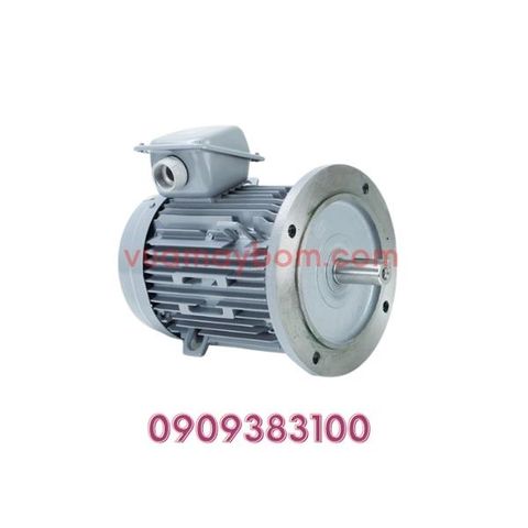Motor điện Hitachi mặt bích 3 pha