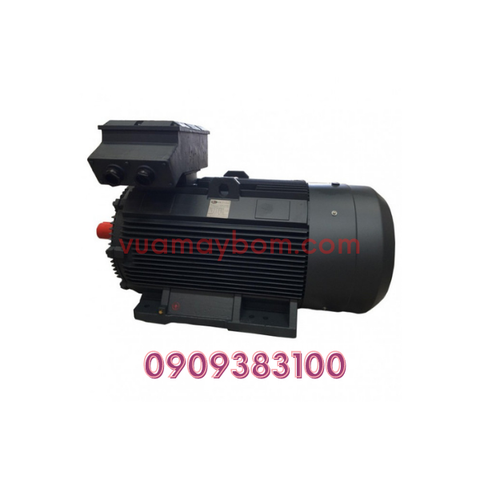 Motor điện QM 220 kw 3 pha