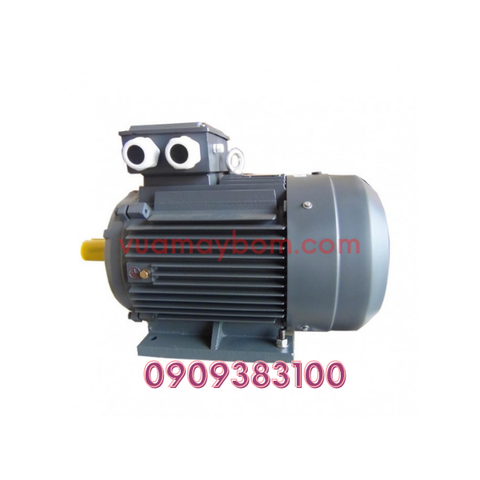 Motor điện QM 75 kw chân đế 3 pha