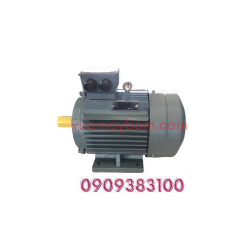 Motor điện QM Y3-160L-4