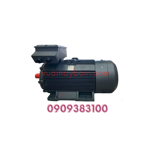 Motor điện QM Y3-200L1-4