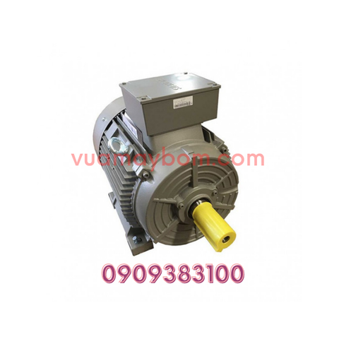 Motor điện Siemens 37 kw - 960 vòng/phút