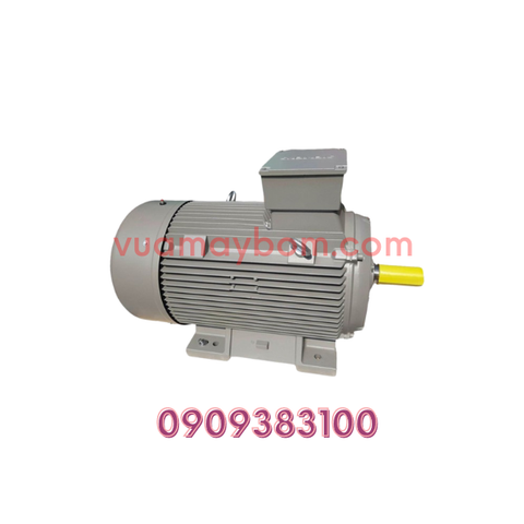 Motor điện Seimens 110kw - 1450 vòng/phút