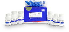 SPINEASY® PLASMID MIDIPREP KIT