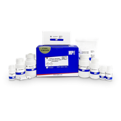 SPINeasy DNA/RNA/Protein All-In-One Kit, 50 kits