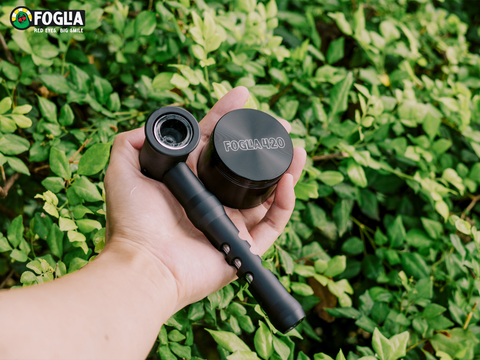 Combo Foglia Pipe Không đế + Grinder Classic Foglia 50mm ( Black )