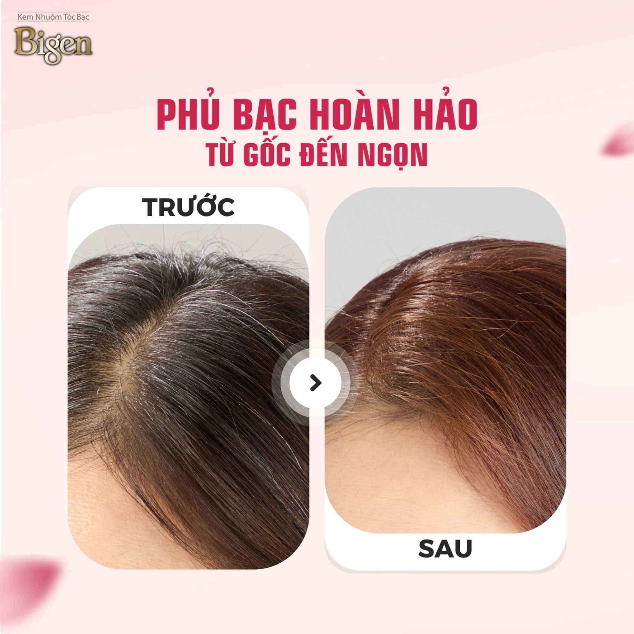  Nhuộm Phủ Bạc Thời Trang Bigen Số 