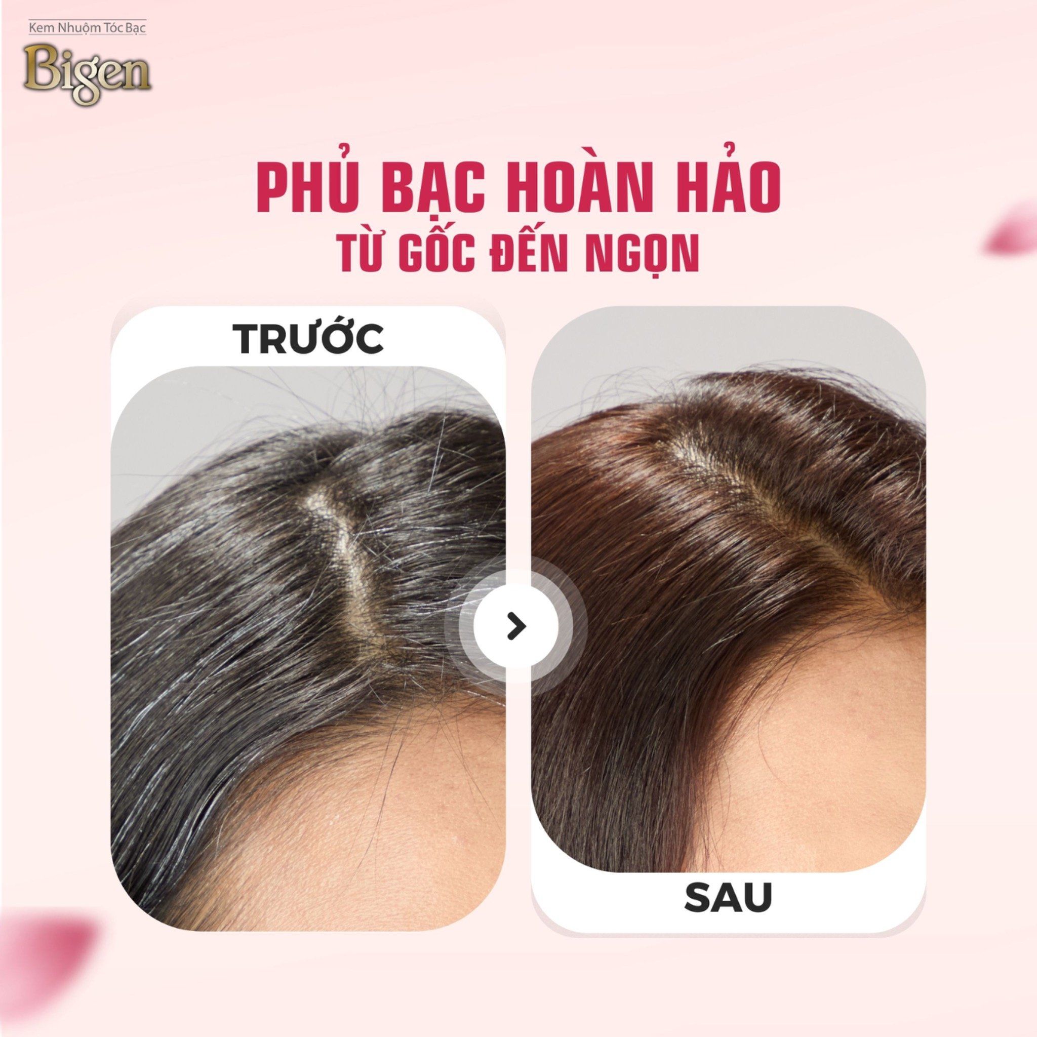  Nhuộm Phủ Bạc Nội Địa Nhật Bigen Nhật 