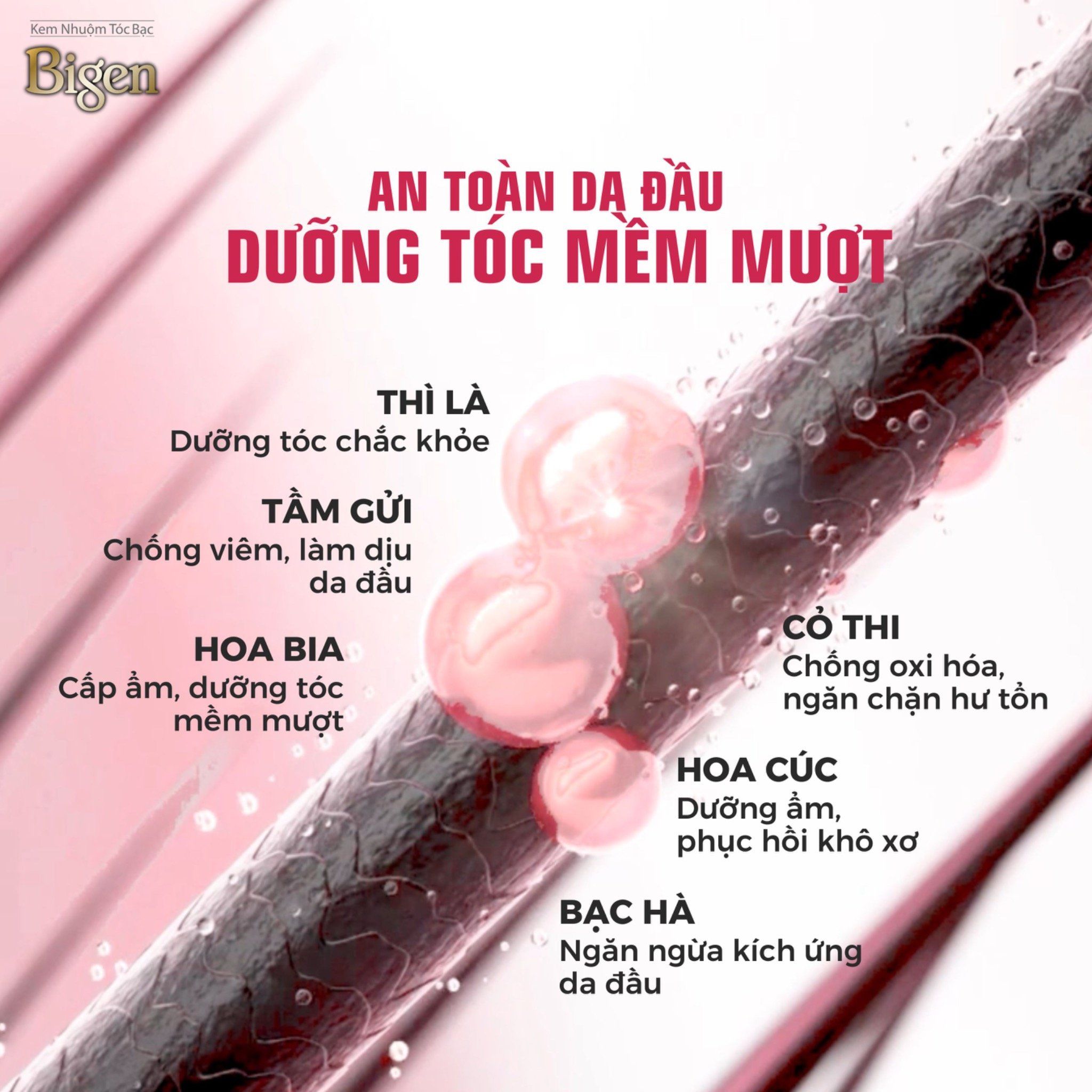  Thuốc Nhuộm Tóc Phủ Bạc Tại Nhà Bigen Xám - Phủ Bạc Thảo Dược, Dưỡng Tóc Mềm Mượt 80ml 