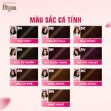  Nhuộm Phủ Bạc Thời Trang Bigen Silk Touch 