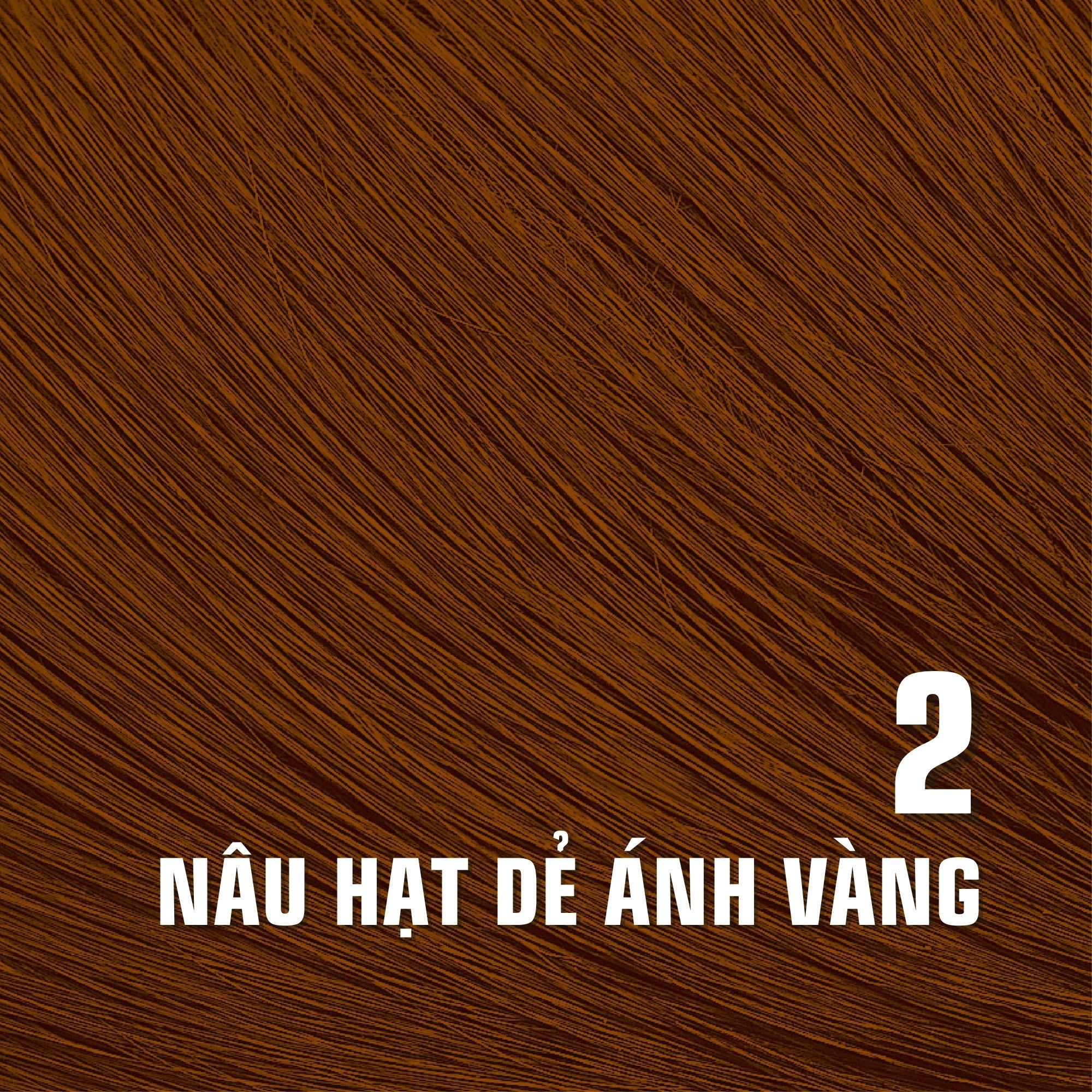  Nhuộm Phủ Bạc Thời Trang Bigen Số 