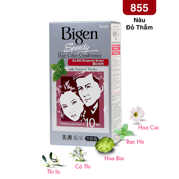  Bigen Xám - 855 Nâu Đỏ Thẫm 