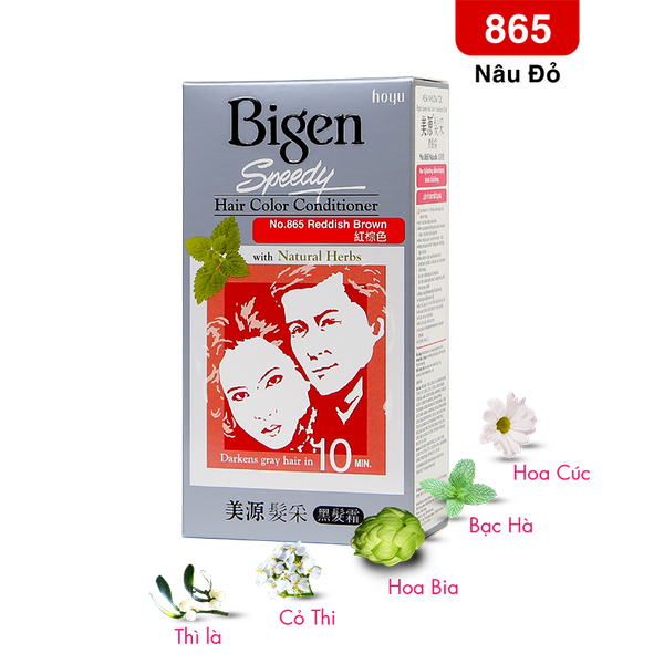  Bigen Xám - 865 Nâu Đỏ 