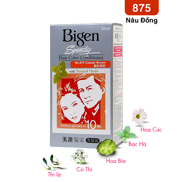  Bigen Xám 875 - Nâu Đồng 