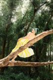  Đầm dài nhún ngực 3 tầng 