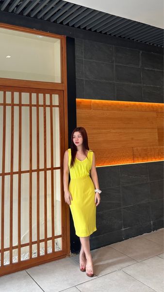  Đầm bút chì cổ V 