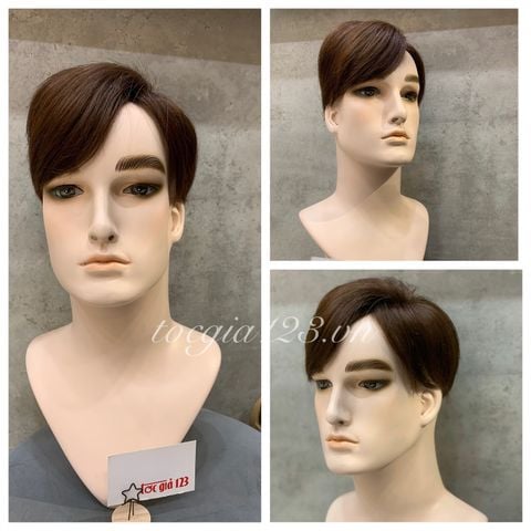 Mái phủ đỉnh nam 1033