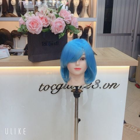 Tóc hoá trang 3453