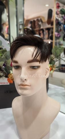 Mái phủ đỉnh nam 1848